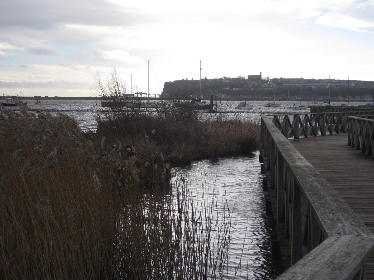 Cardiff - Bucht
