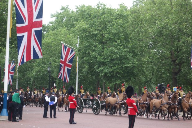 Trooping the Colour - Kanonen