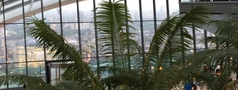Sky Garden Palme